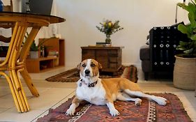 The Lamu Suite